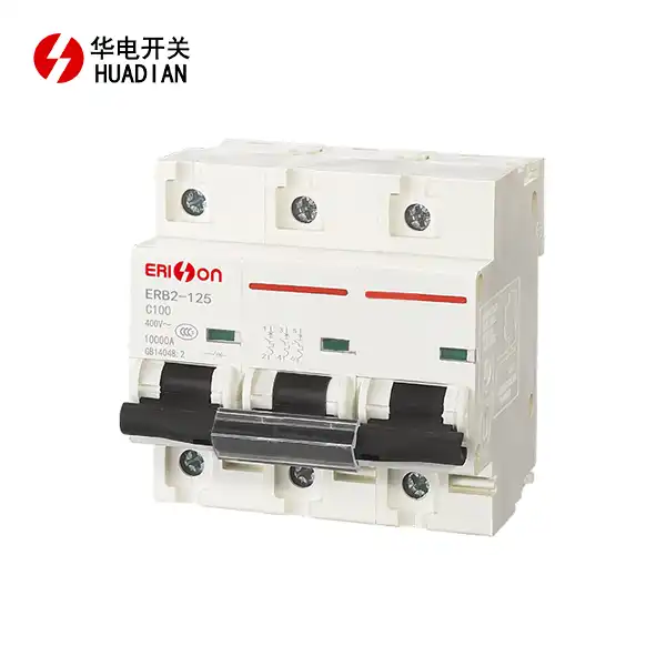 ERB2-125 high breaking miniature circuit breaker